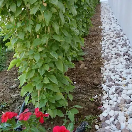 Avra Nafpliou Hotel 3*