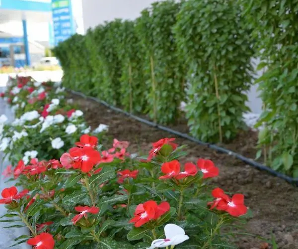 Отель Avra Nafpliou Нафплион