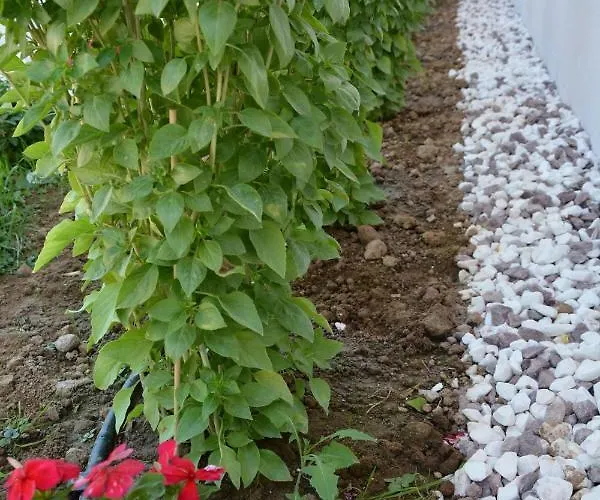 Avra Nafpliou Отель 3*